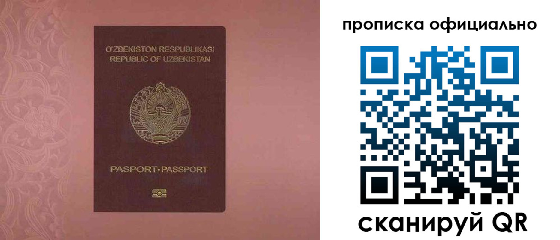 прописка гарантия в Хвалынске